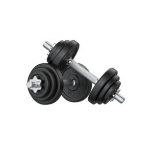 Fitness DUMBBELL 10 kg